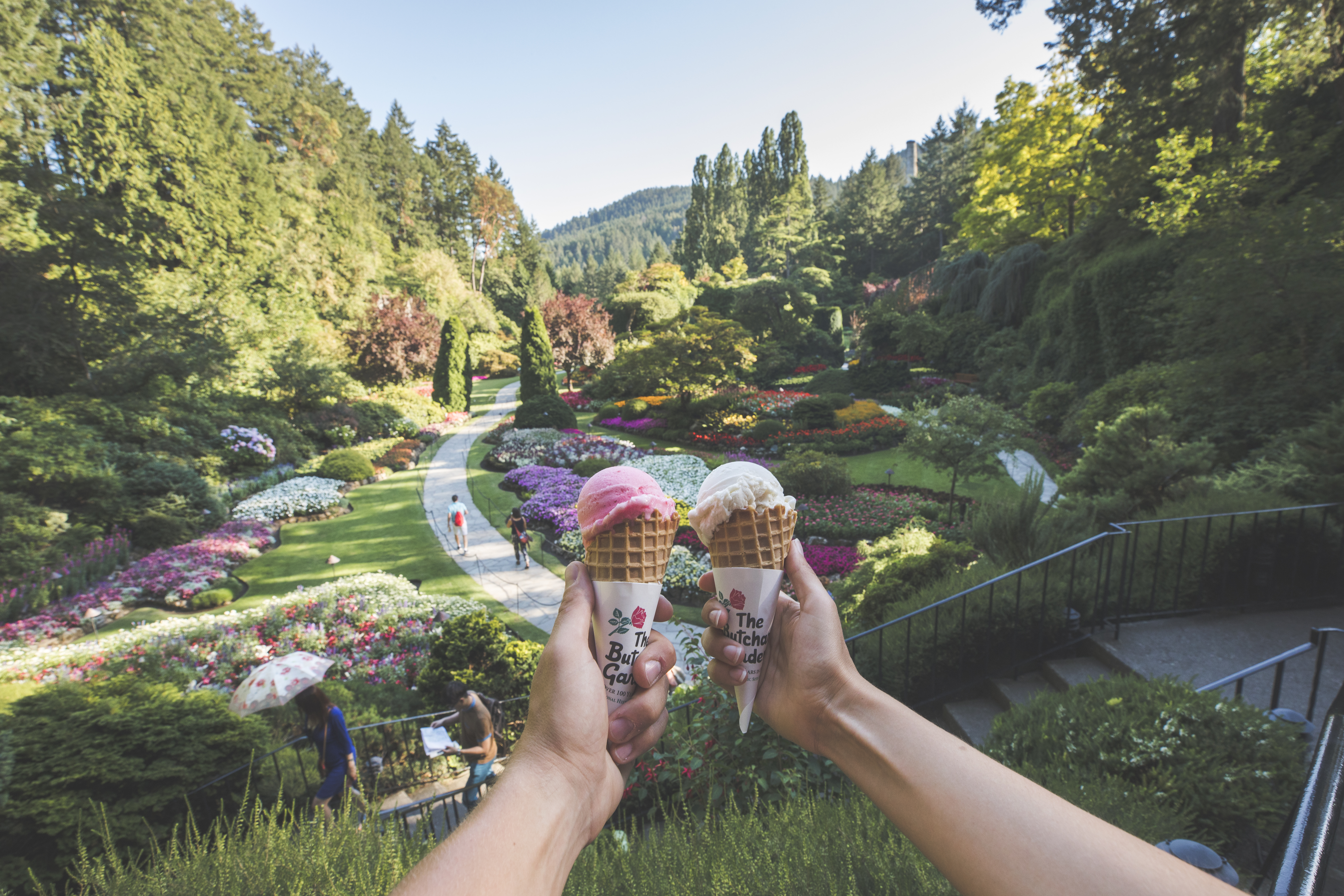 Hands holding ice cream cones overlooking The Butchart Gardens