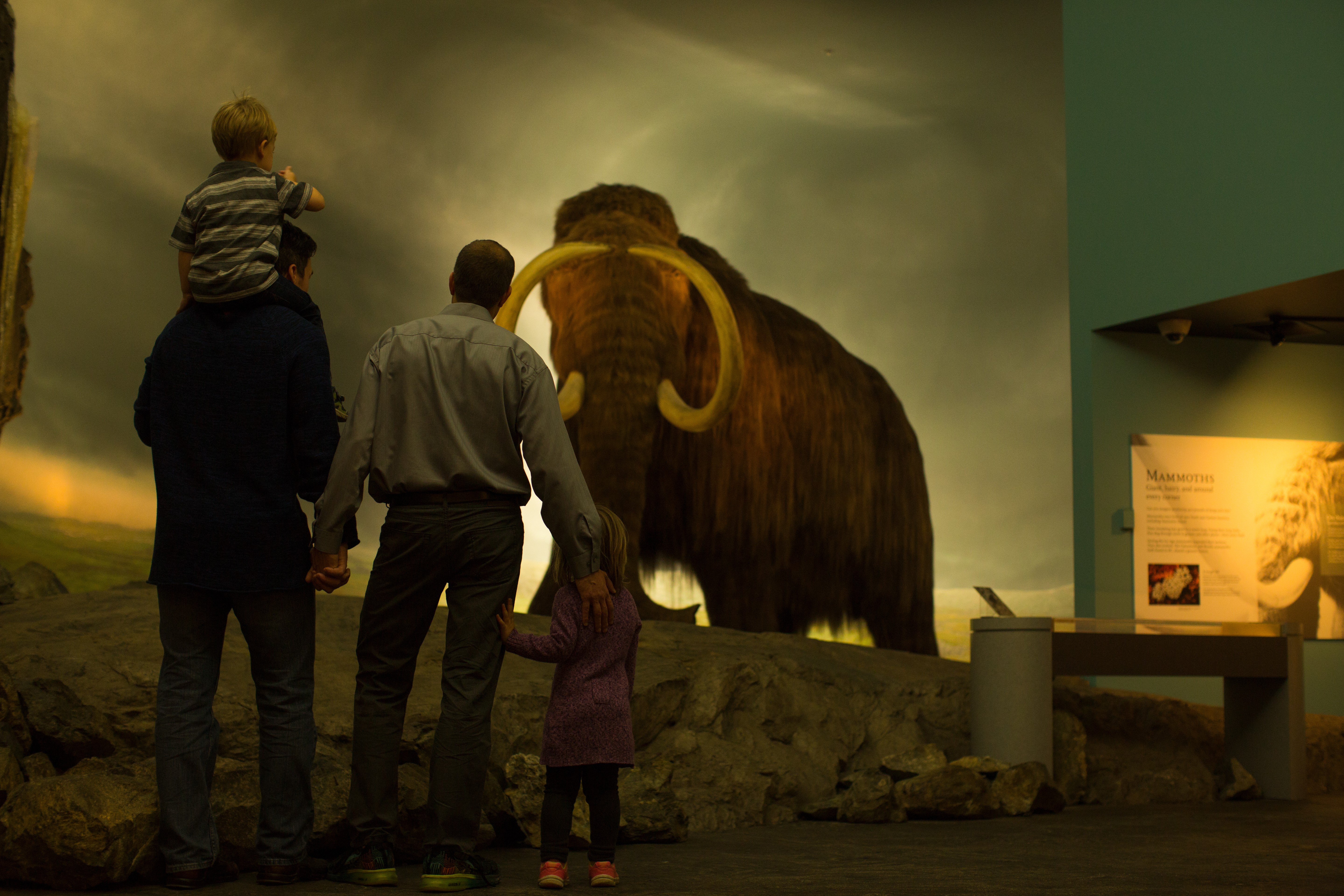 A family stands in front of the wooly mammoth at Royal BC Museum