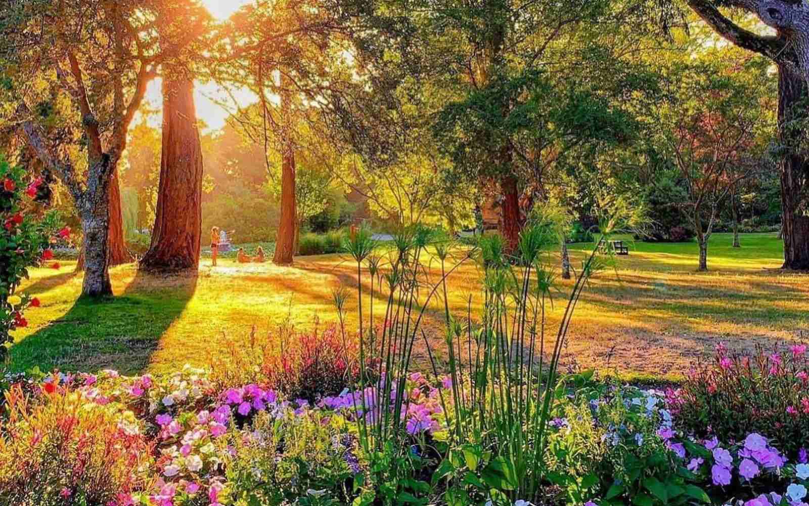 Gardens and Forest at Beacon Hill Park