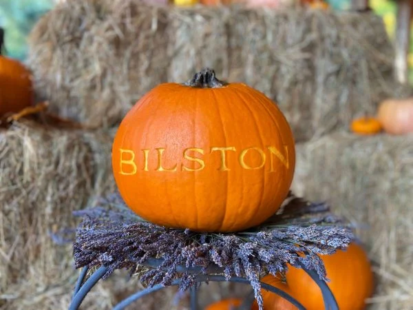 A pumpkin that says Bilston atop a bed of lavender 