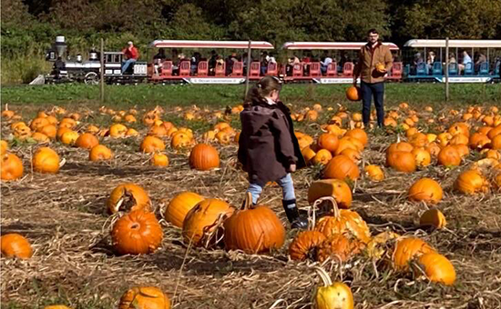 children playing in a pumpkin patch 